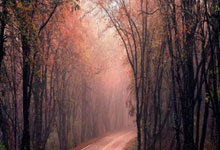 体坛名场面｜决胜局双方打成9比9平，国人不敢看，没想到孙颖莎创造奇迹.