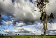 亚冠精英联赛：上海海港主场憾负横滨水手.