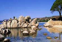 WELLBET：[中超]2025中超联赛赛程发布.